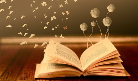 L' Angolo del Libro